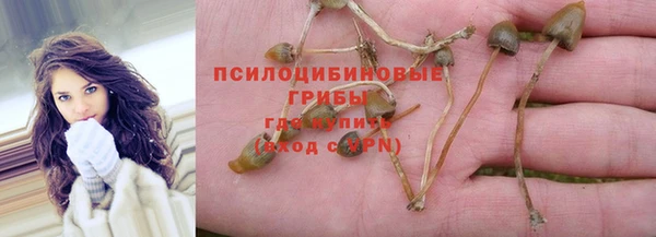 прущая мука Михайлов