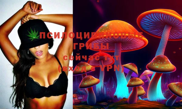 прущая мука Михайлов