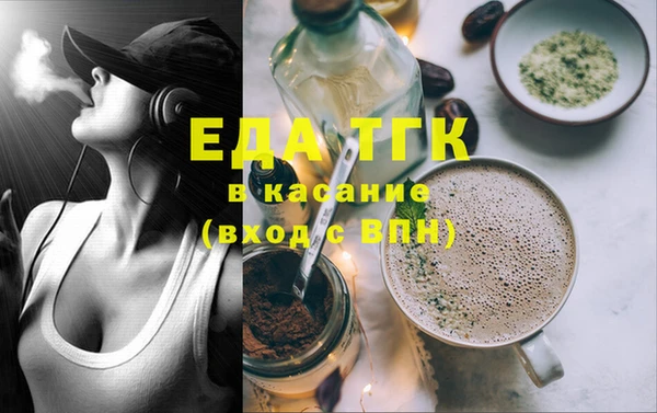 индика Мегион