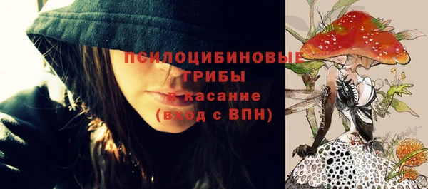 прущая мука Михайлов