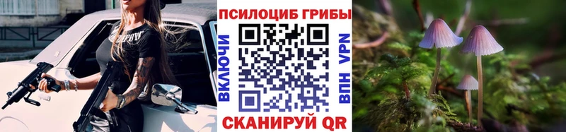 Купить закладки  Москва  Галлюциногенные грибы прущие грибы 